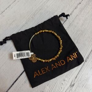 Alex and Ani Bracelet Gold colored